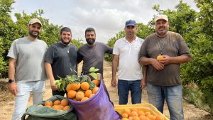 צוות פרדס מושבי הנגב. צלם בועז רבינוביץ 1