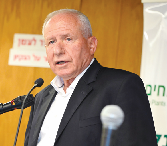 צילום מסך 2025 07 02 101715