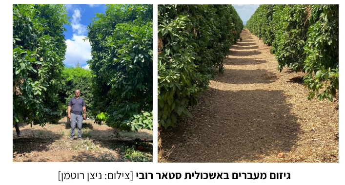 צילום מסך 2025 07 23 214416