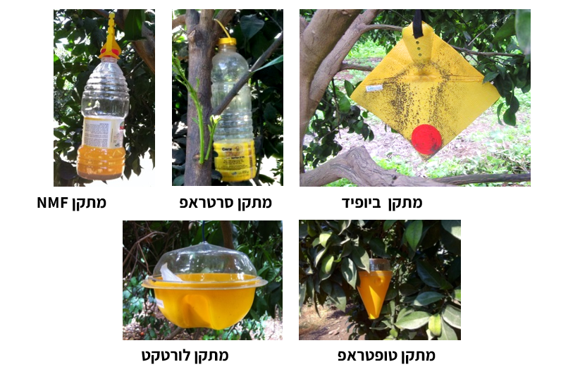 צילום מסך 2025 07 23 214548