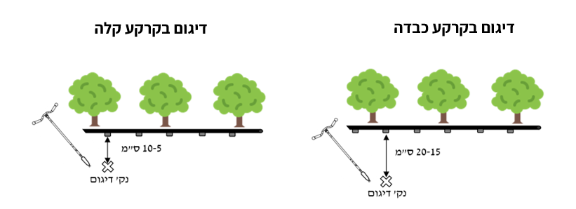 צילום מסך 2025 07 24 105616