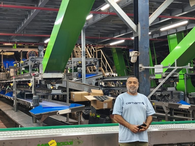 רונן אלפסי בבית האריזה בנה אימפריה בעשר אצבעות