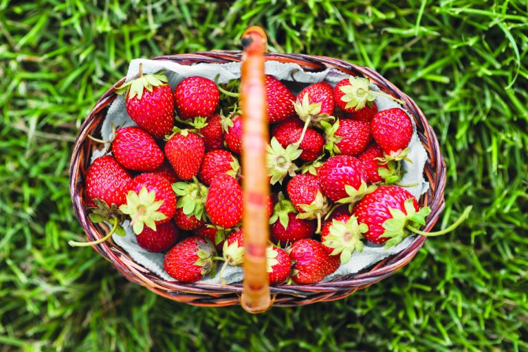 top view tasty strawberry basket