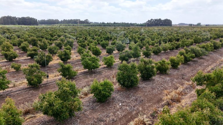 המגה פולסר של נטפים. צילום רוסלן פאול 1