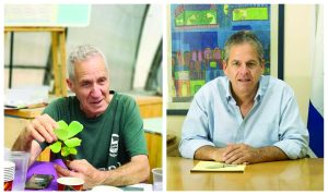 זמנקי 8