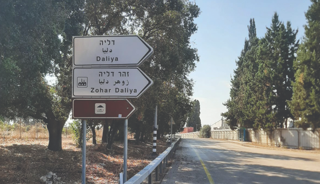 צילום מסך 2025 08 05 175309