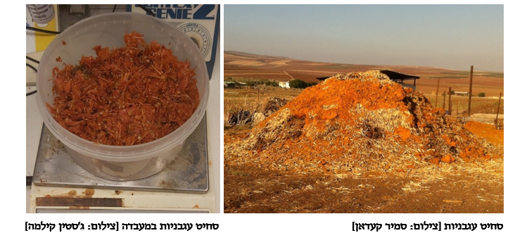 צילום מסך 2025 08 15 134230 1