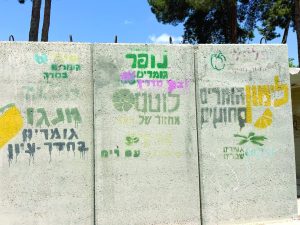 תמונה 1 39e7d25e 1783 43f2 85ce ef5d334d1779