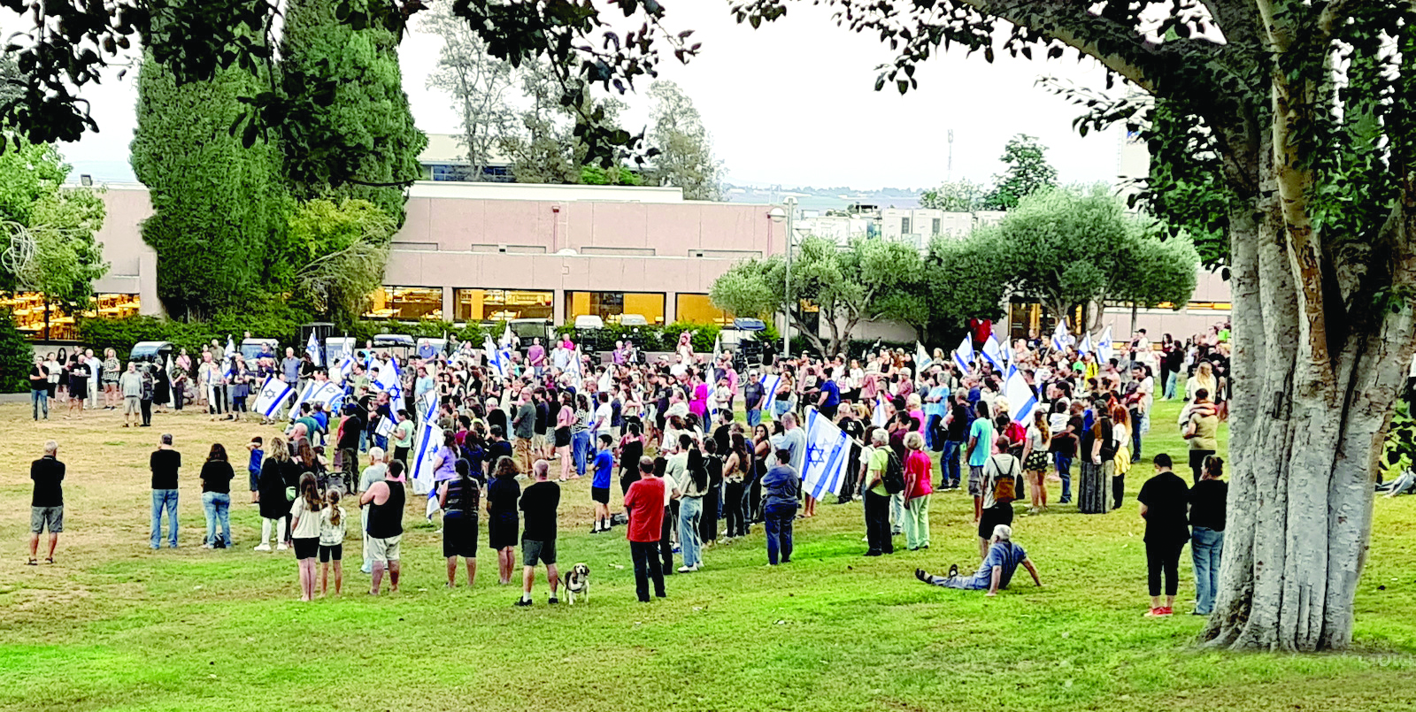 תמונה 3 לבוקסה 2 1 20231012 180757