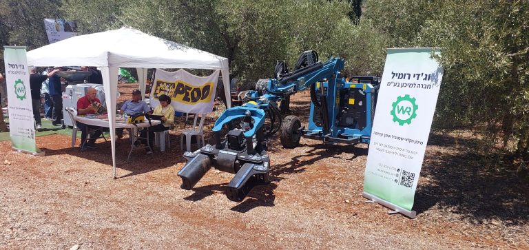 תמונה ראשית בכתבה