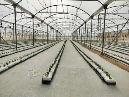 Picture3