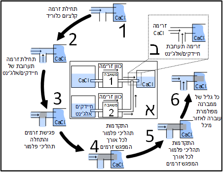 Picture5
