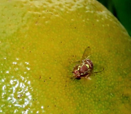 Picture8