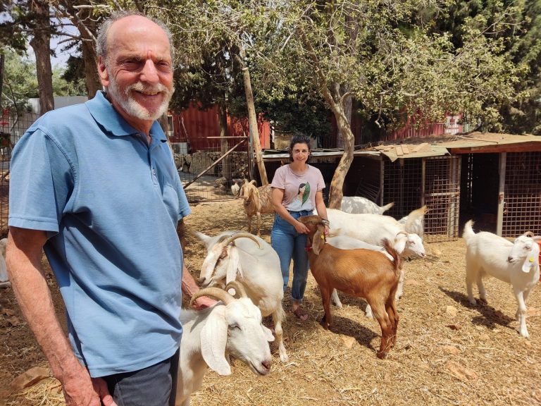 איתי וטל