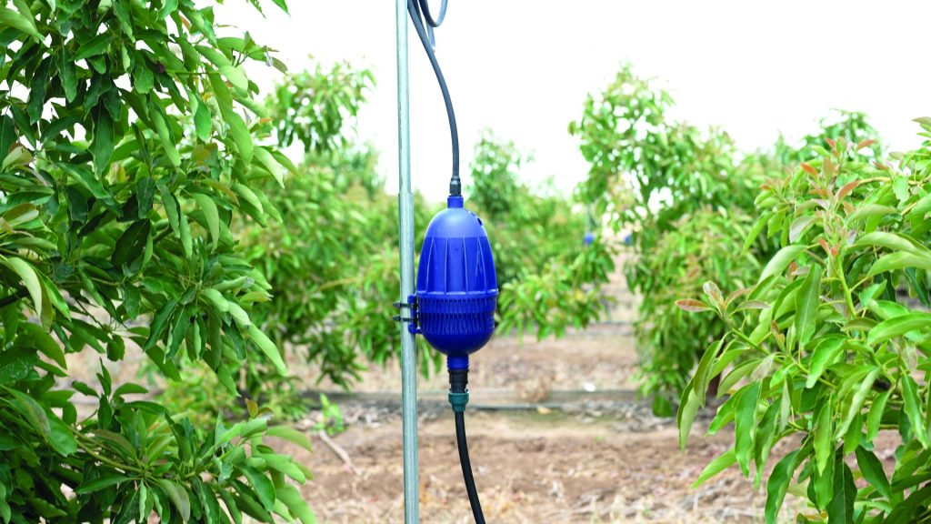 המגה פולסר של נטפים. צילום רוסלן פאול 2