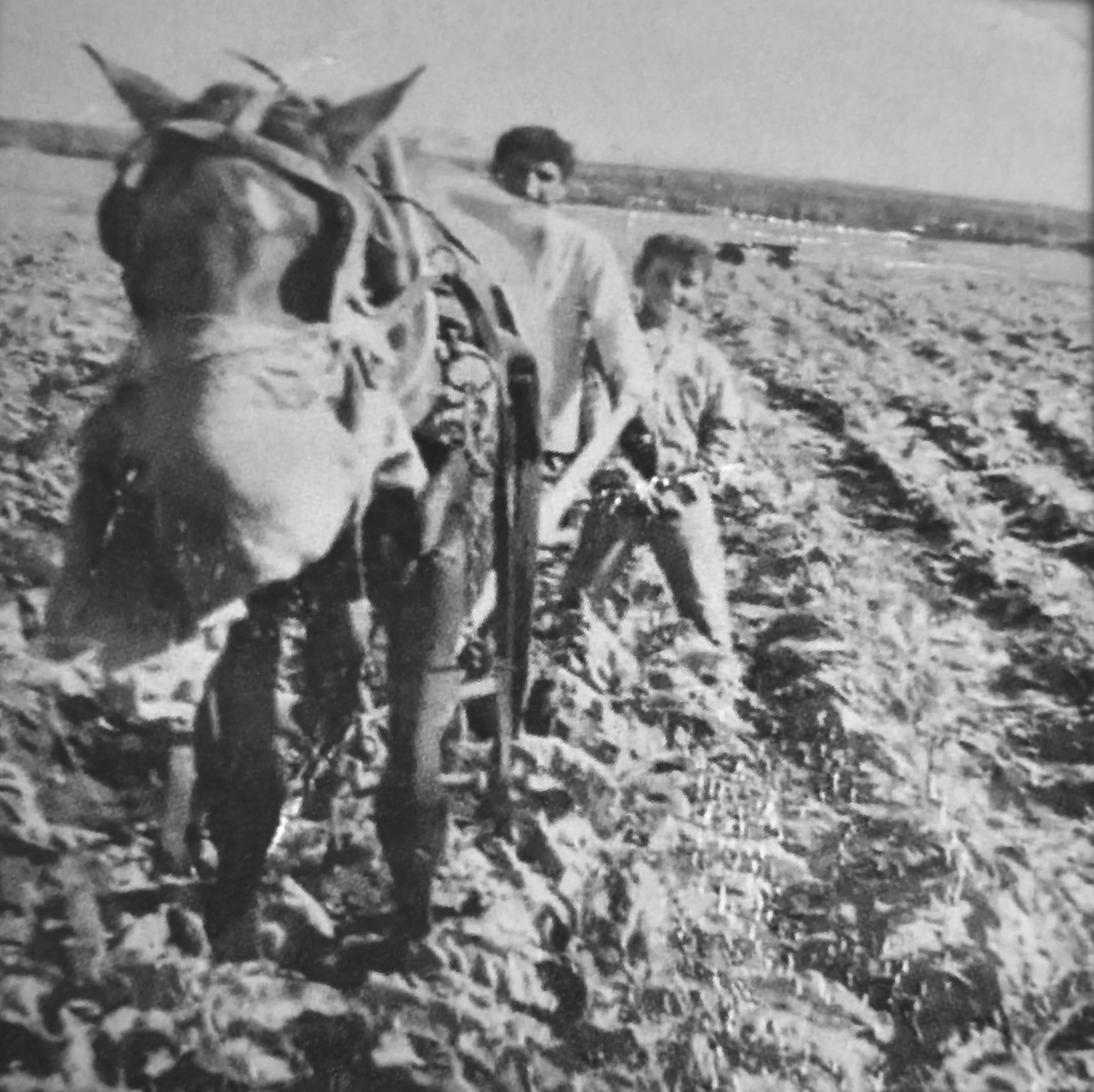 משה בן ה15 עם הפרדה הסוררת