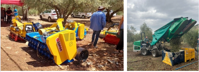 צילום מסך 2025 09 07 214126