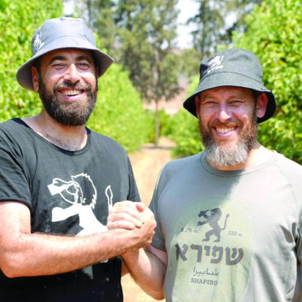 צילום מסך 2025 09 16 215141