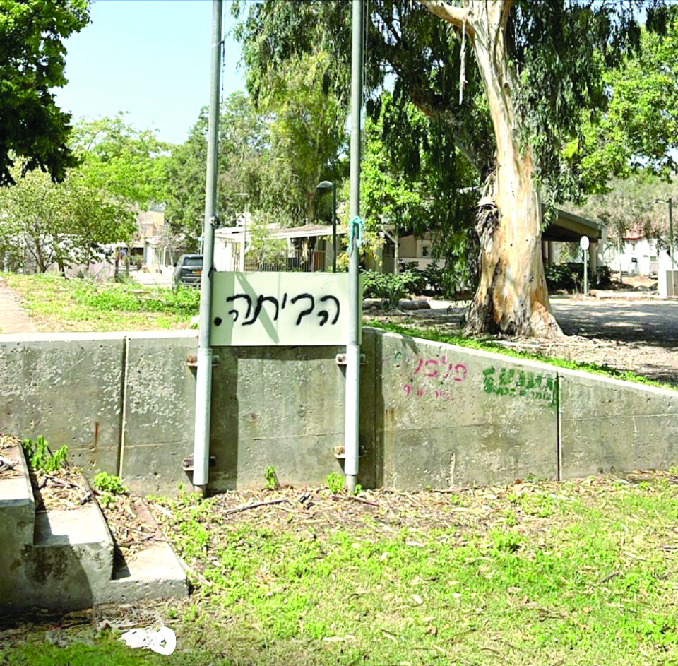 תמונה 2 be962796 c464 4a91 ad7d 20743abc68ce
