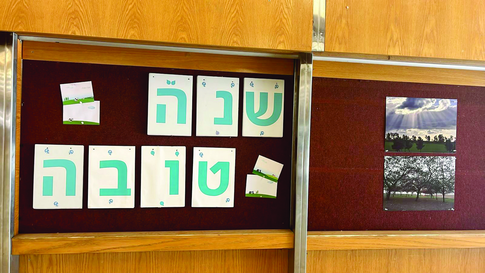 תמונה 3 bbbe4fd6 17fa 4da4 b0ac ba418f1f4326