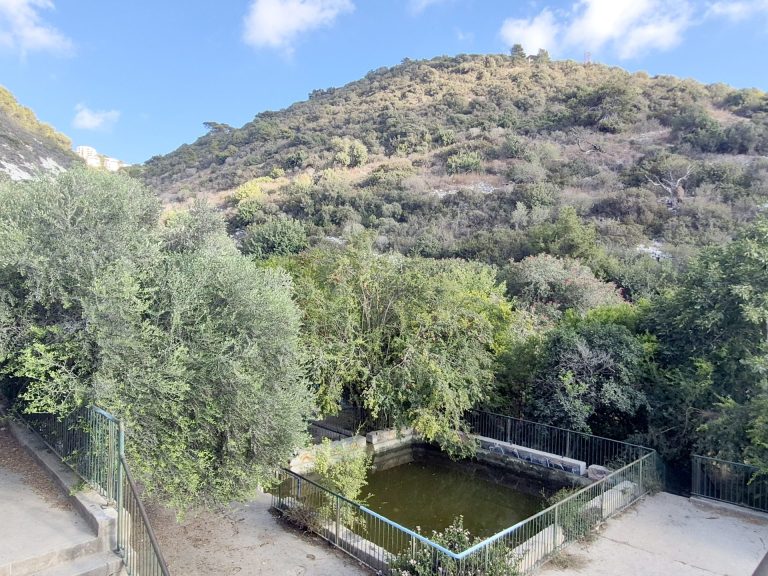 בוסתן כיאט צילום דני בר