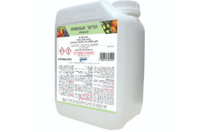 צילום מסך 2025 09 17 201402