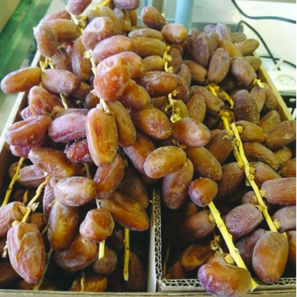 צילום מסך 2025 10 28 221149