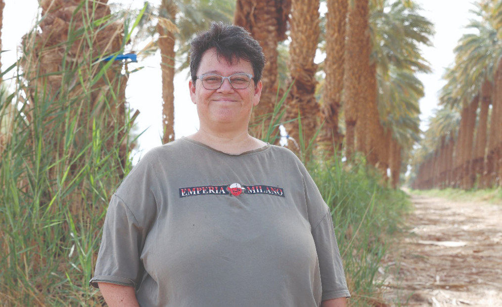 צילום מסך 2025 10 28 221256