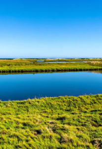 צילום מסך 2025 10 28 224111