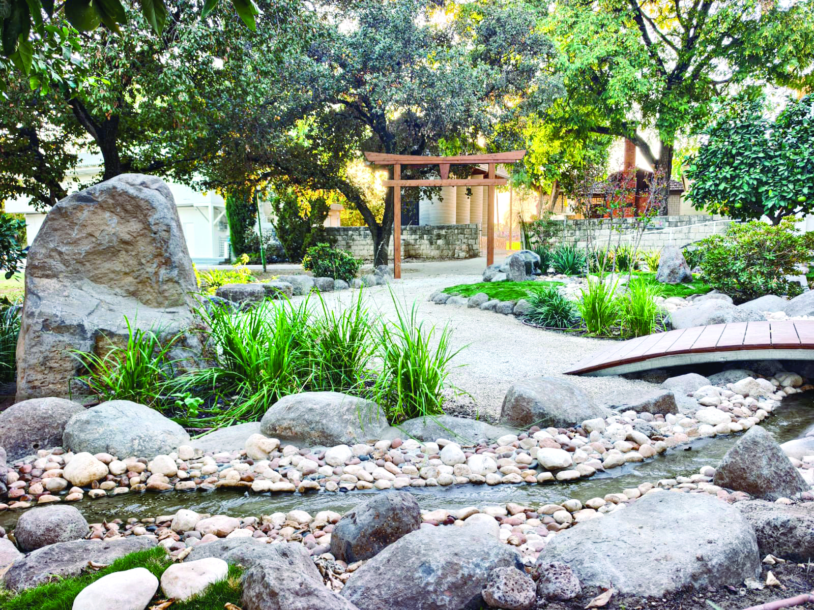 2 גן יפני צילום אביב תומר