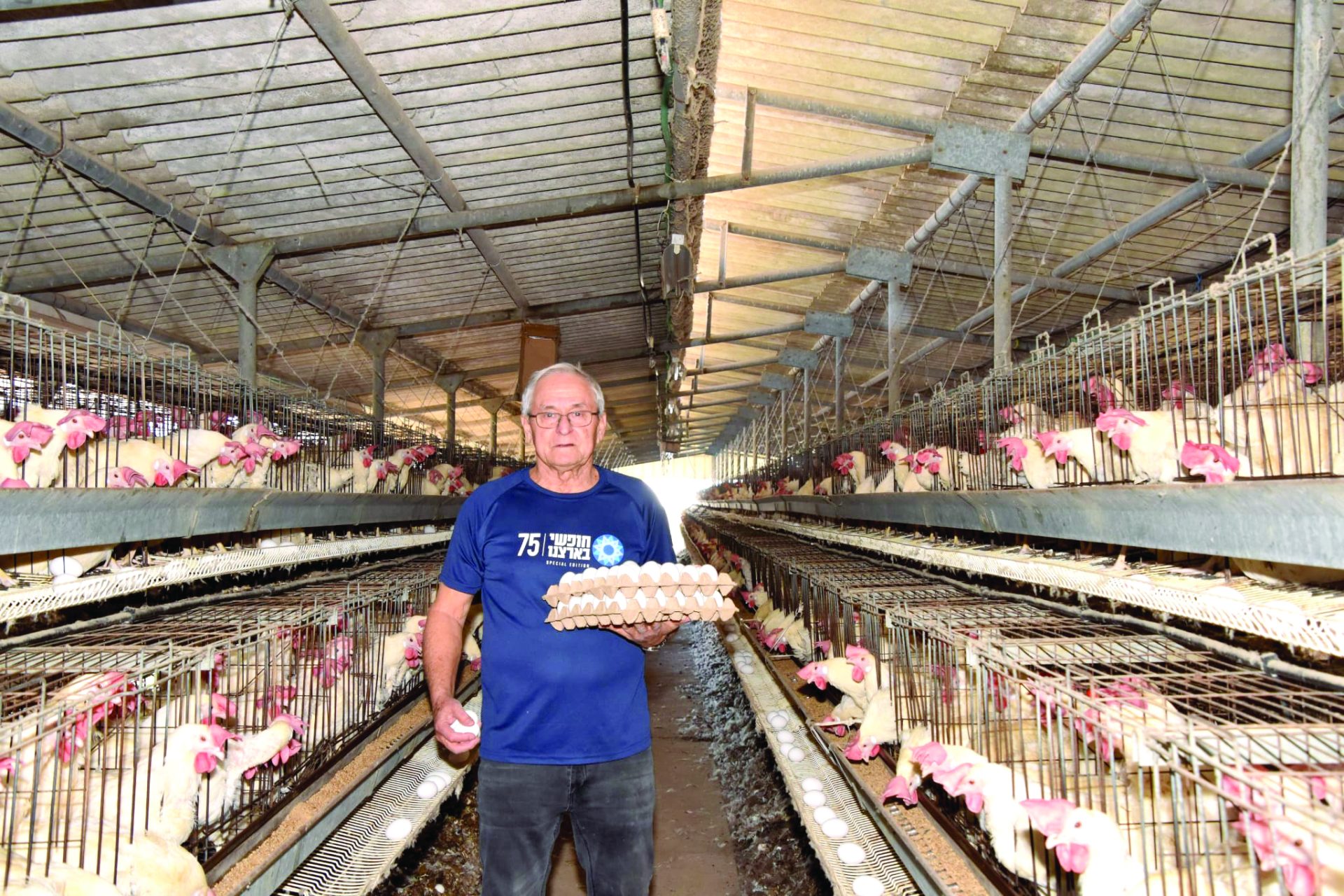 2 דדה עינב אוסף ביצים