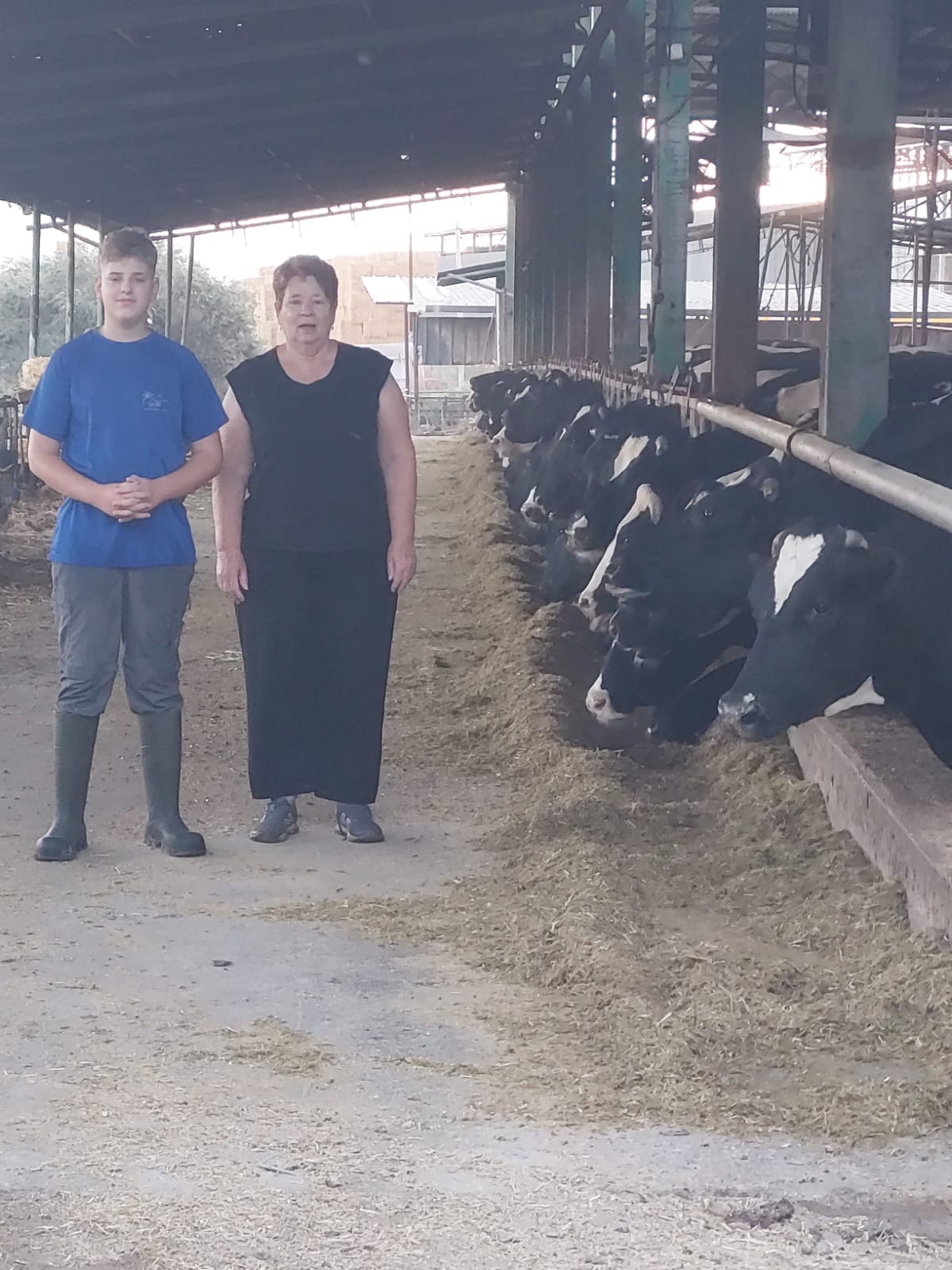 917dc38d e817 4904 91c0 54b0edd27df5