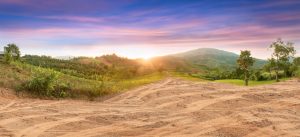 shutterstock 2011592942