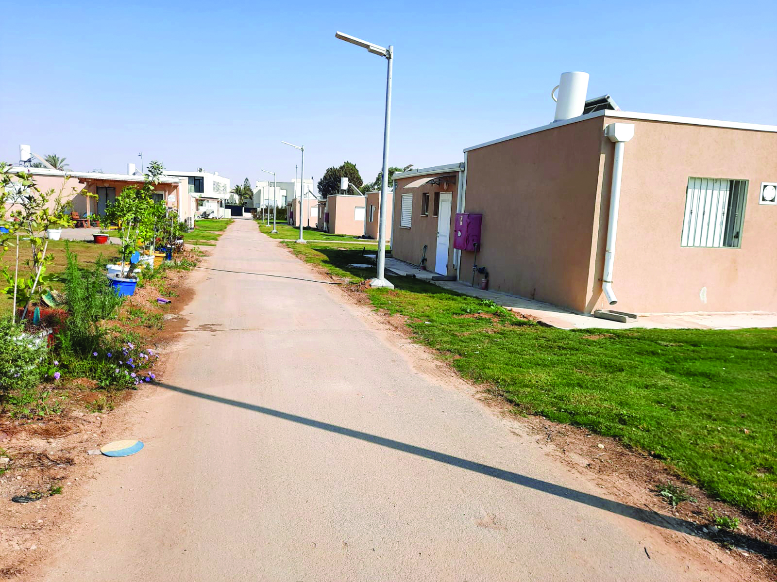 כיסופים בעומר