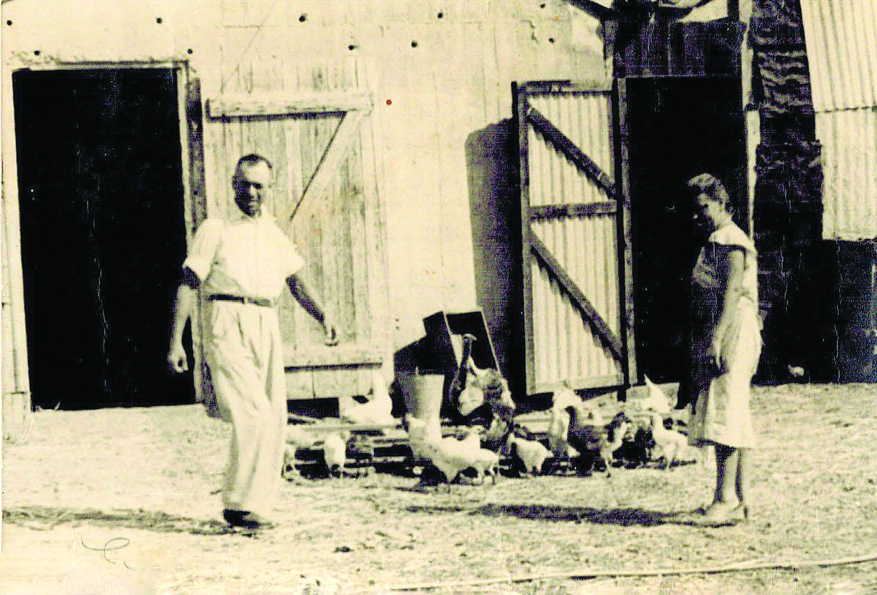 לאה ומנדל פיאסצקי במושב גיאה לאחר עלייתם ארצה. אלבום פרטי