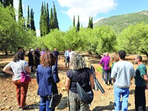 פסטיבל ימי ענף הזית חוגג 30 צ. סטודיו A 1