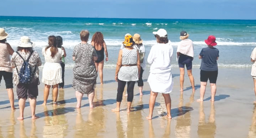 צילום מסך 2025 11 04 173055