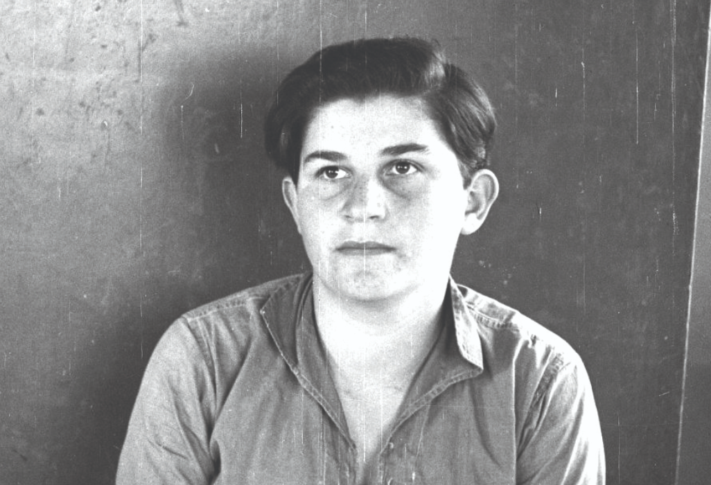 צילום מסך 2025 11 19 185702