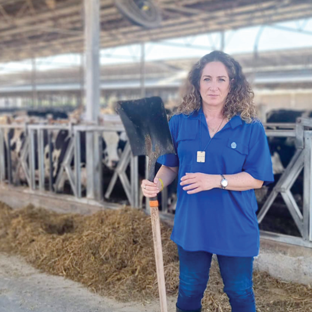 צילום מסך 2025 11 19 231326