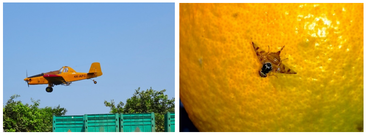 צילום מסך 2025 11 22 140007