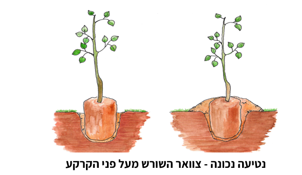 צילום מסך 2025 11 22 140140