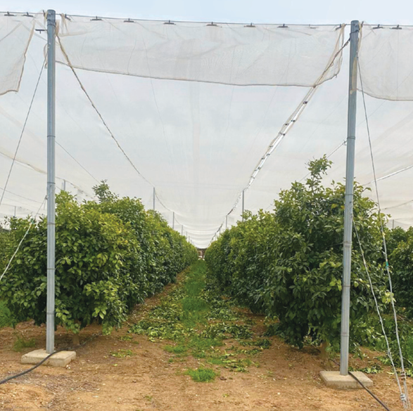 צילום מסך 2025 11 22 153521