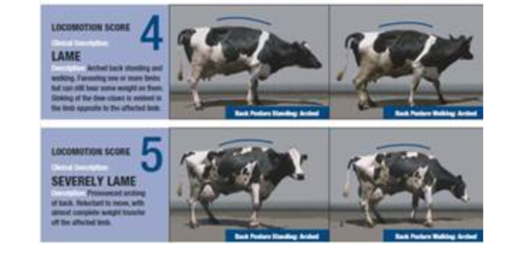 צילום מסך 2025 11 25 232004