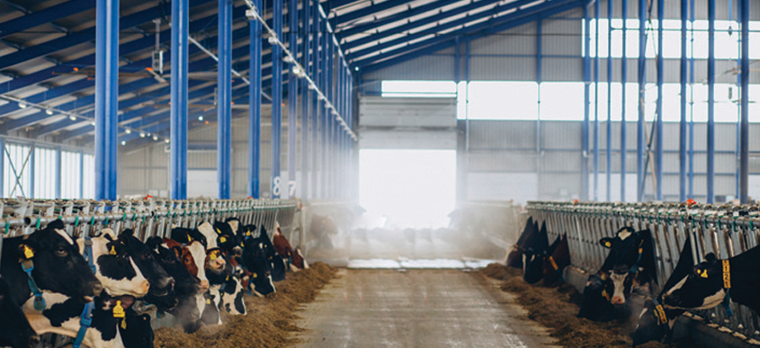 צילום מסך 2025 11 25 232339