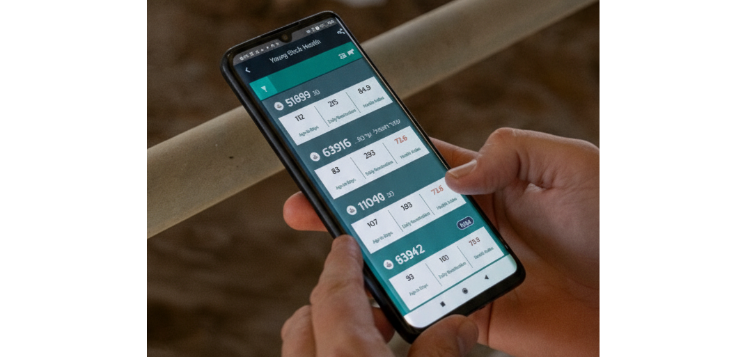 צילום מסך 2025 11 25 232710