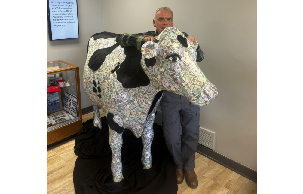 צילום מסך 2025 11 26 111806