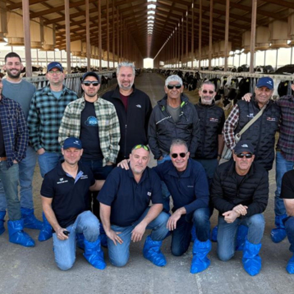 צילום מסך 2025 11 26 111928