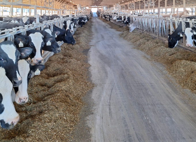 צילום מסך 2025 11 26 112003