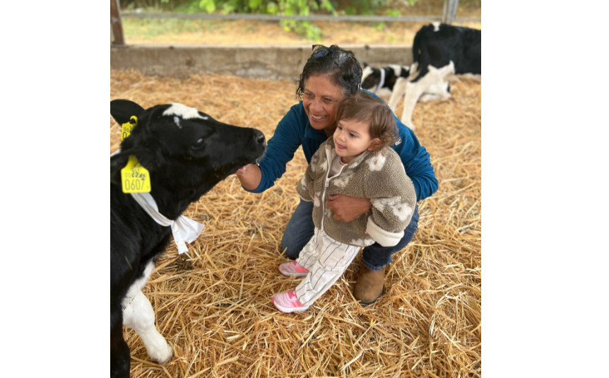 צילום מסך 2025 11 26 172840