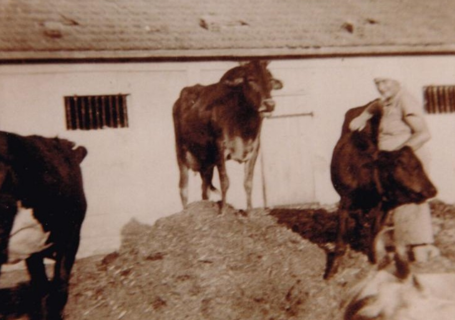 צילום מסך 2025 11 26 233620